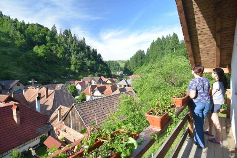 Cabana Vanatorilor Almafatelep Kültér fotó