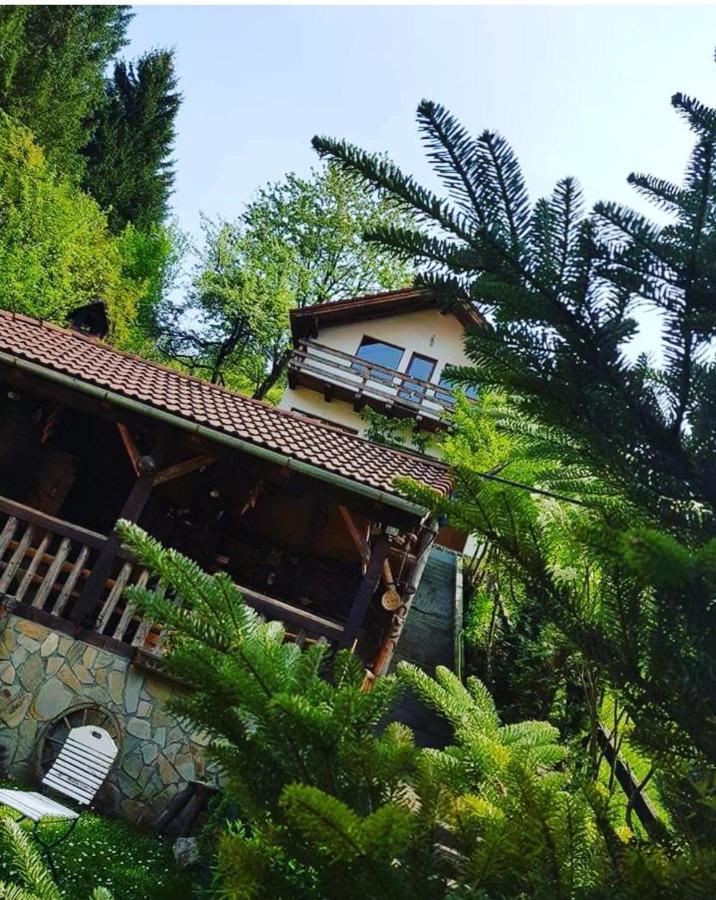 Cabana Vanatorilor Almafatelep Kültér fotó
